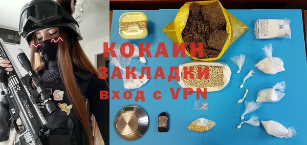 прущие грибы Алзамай