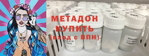 шишки Новодвинск