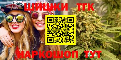 индика Можга