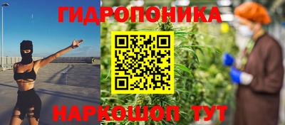 индика Можга