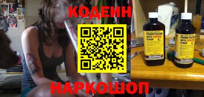 индика Можга