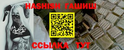 индика Можга