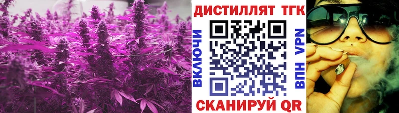 где купить наркотик  Тында  ТГК гашишное масло 