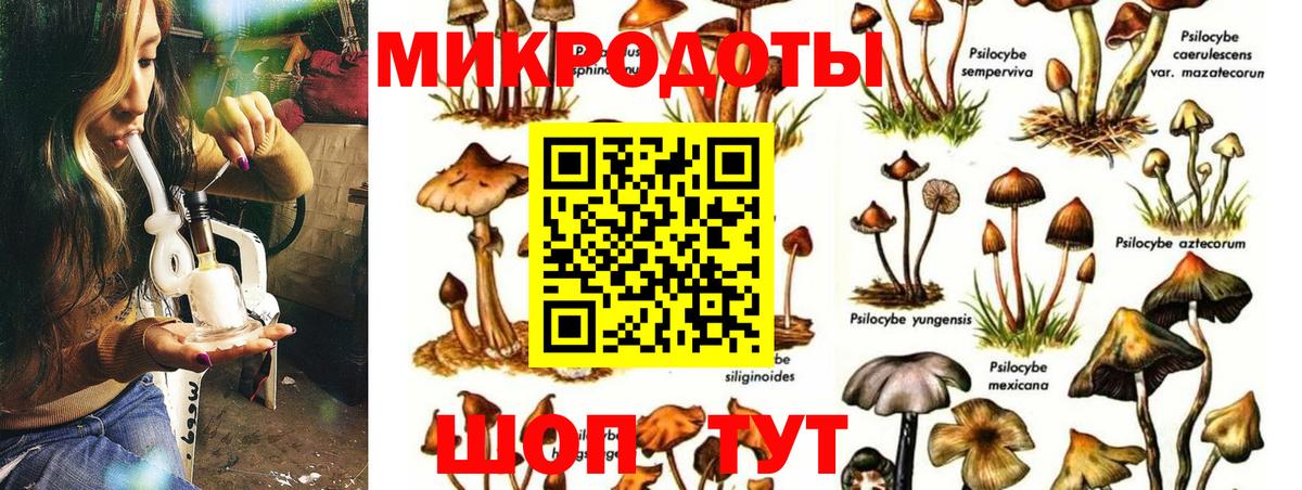 цены   Псилоцибиновые грибы MAGIC MUSHROOMS  Вход с VPN  Тында 